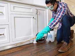 Best Residential Pest Control  in Lincoln Beach, OR